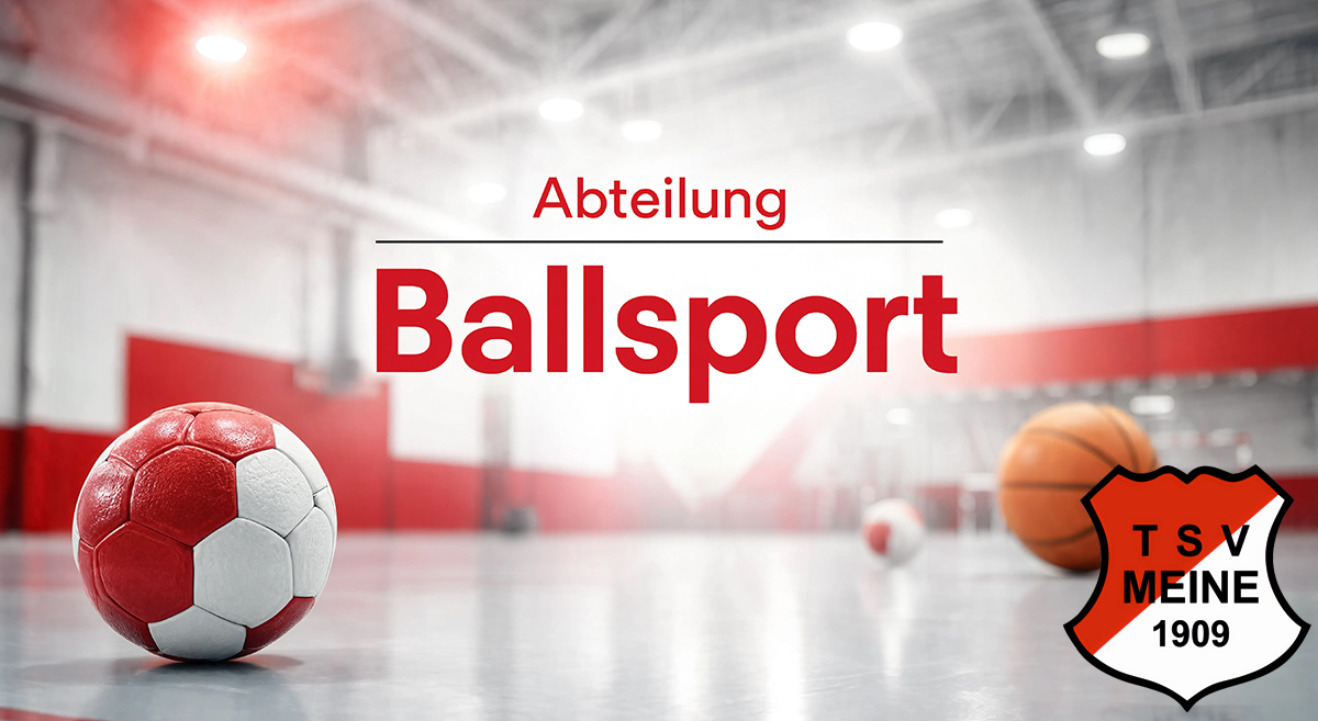 Ballsport beim TSV Meine 09 e.V.
