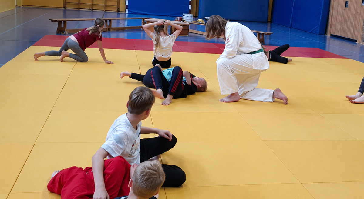 Ju-Jutsu Techniktraining beim TSV Meine 09 e.V.